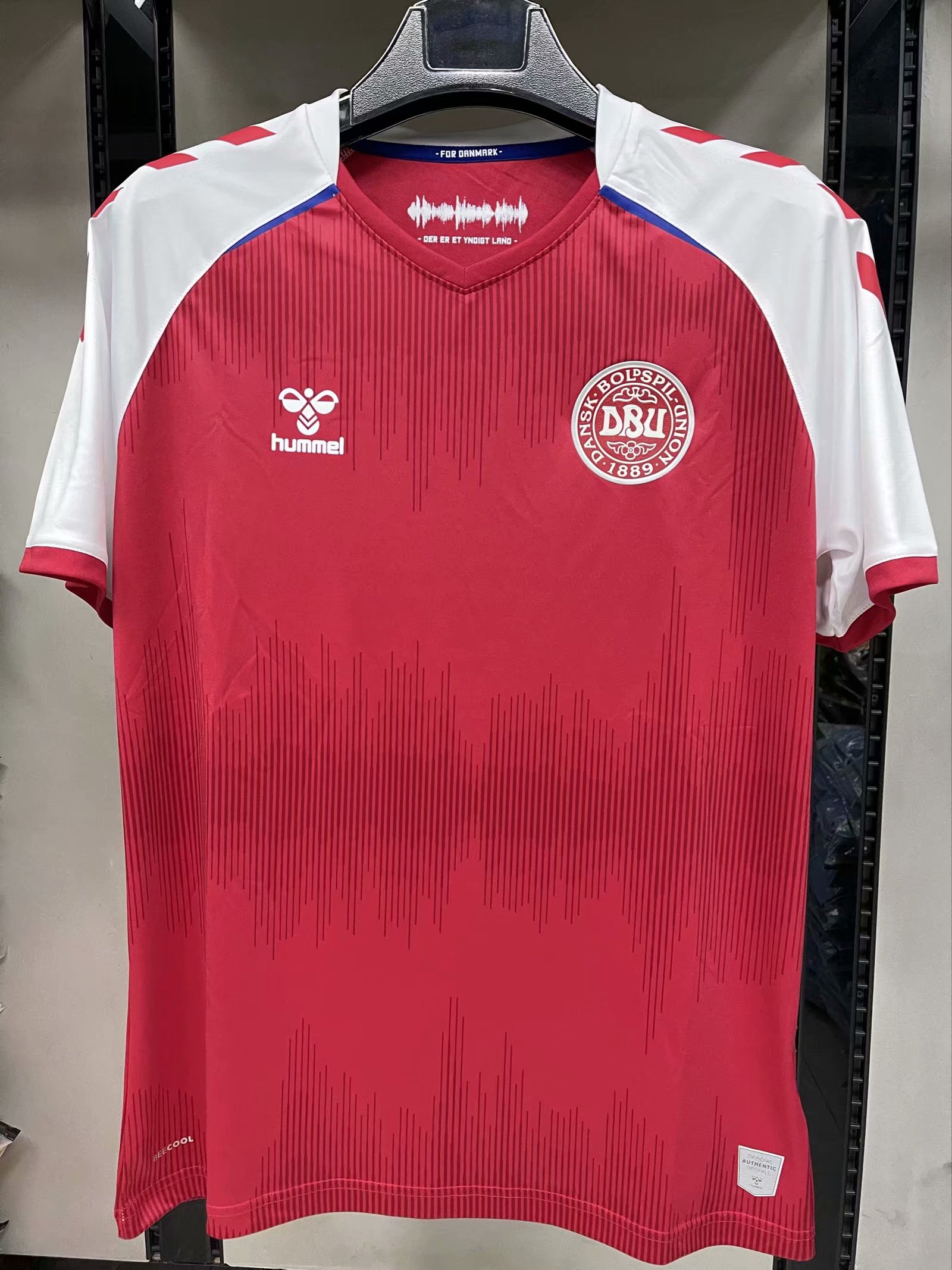 2021 Denmark home 