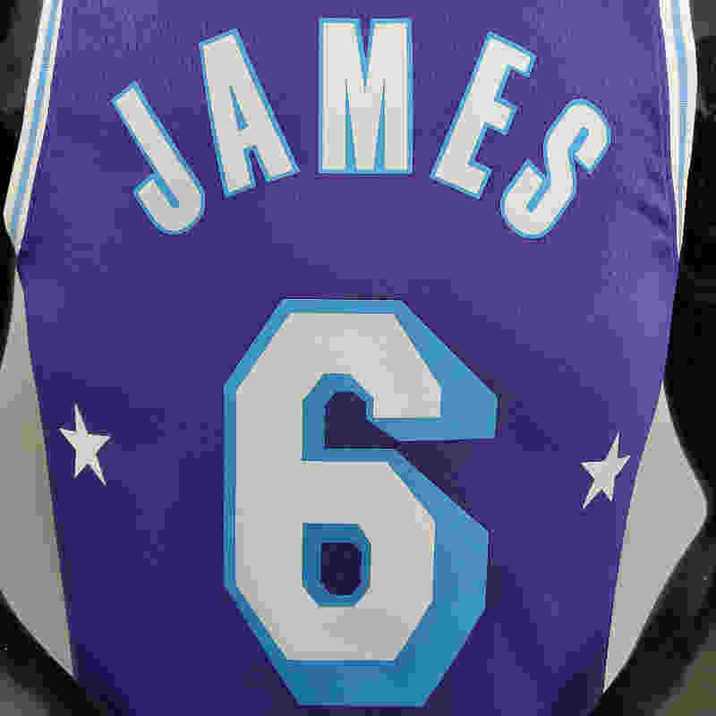 75th Anniversary James #6 Los Angeles Lakers Jordan Purple NBA Jersey -  Kitsociety