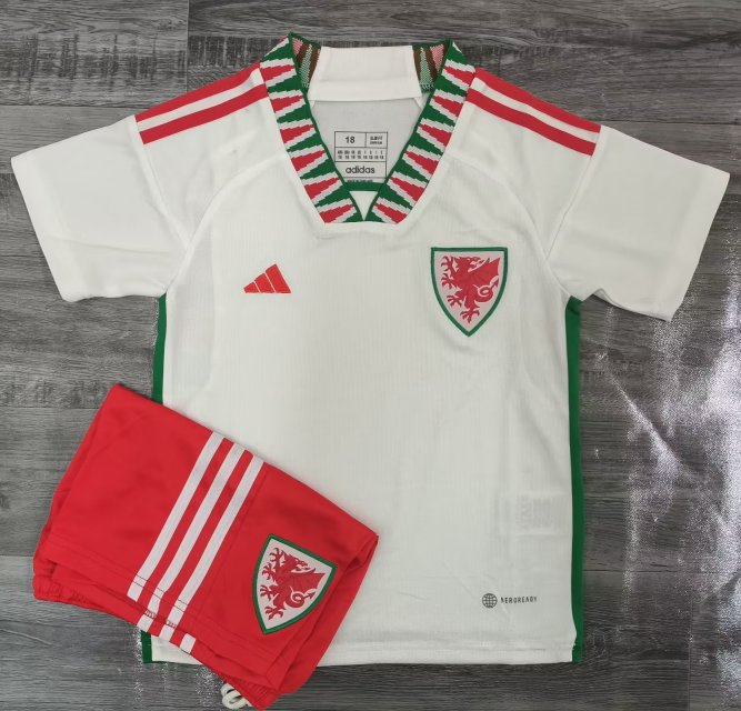 2022/2023 Wales away kids kit  jersey
