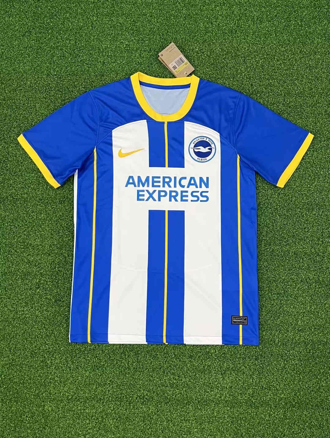 2022-2023 Brighton home