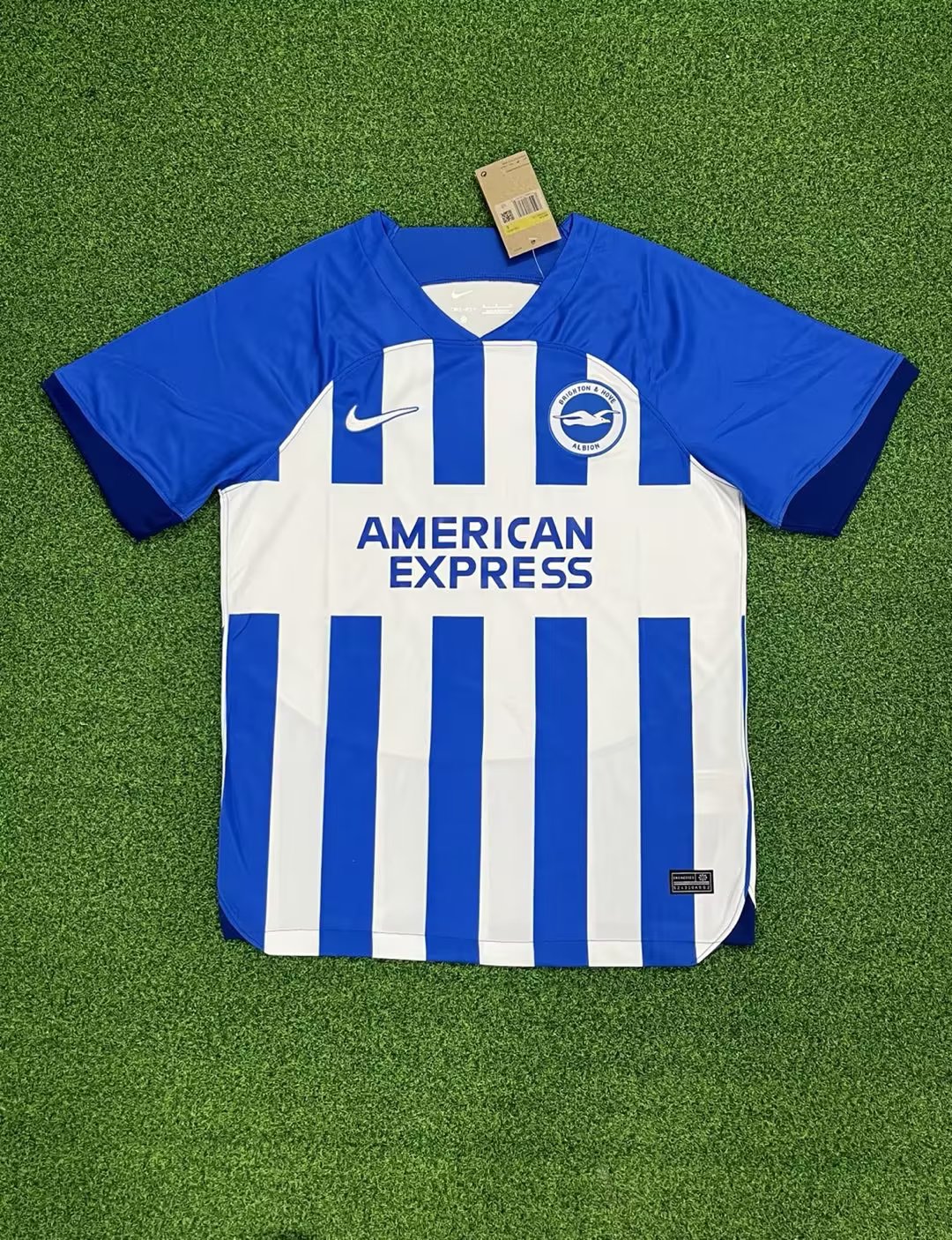 2023-2024 Brighton home