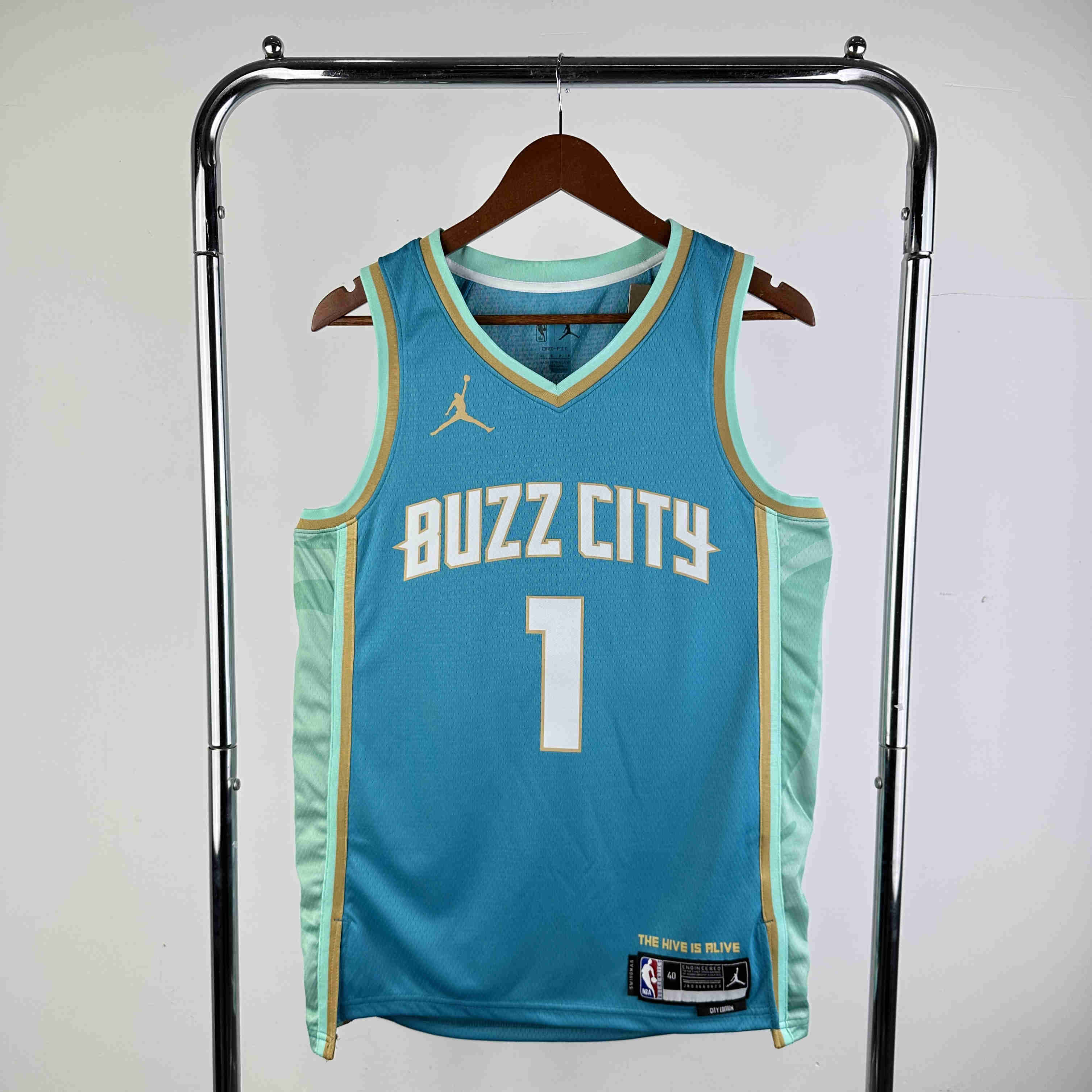 Charlotte Hornets  NBA Jersey Ball 1