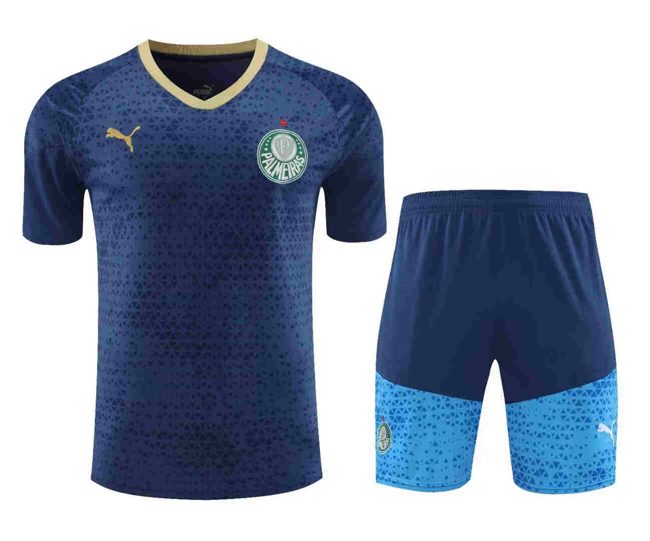 2024-2025  Palmeiras  Training jersey  adult  Kit