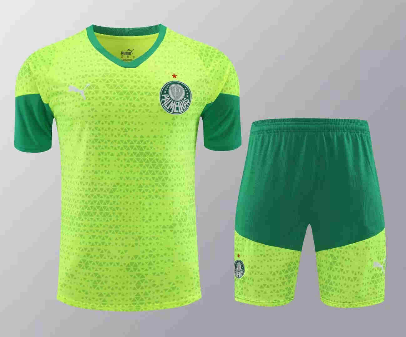 2024-2025  Palmeiras  Training jersey  adult  Kit