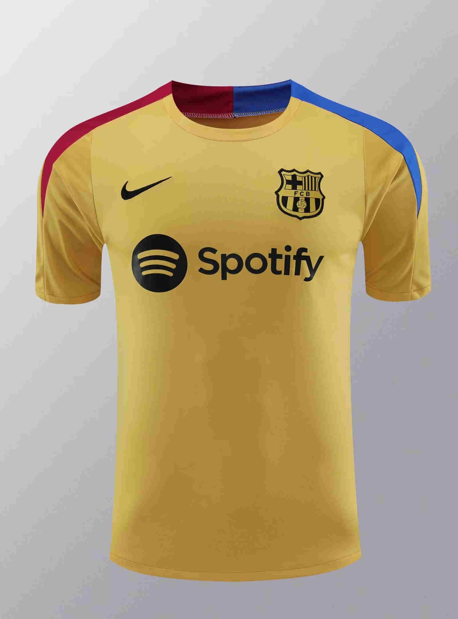2024-2025  Barcelona Training clothes   adult   
