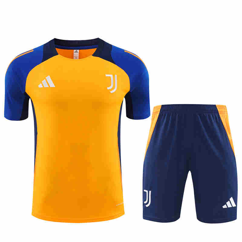 2024/2025 Juventus   Training clothes   adult  kit