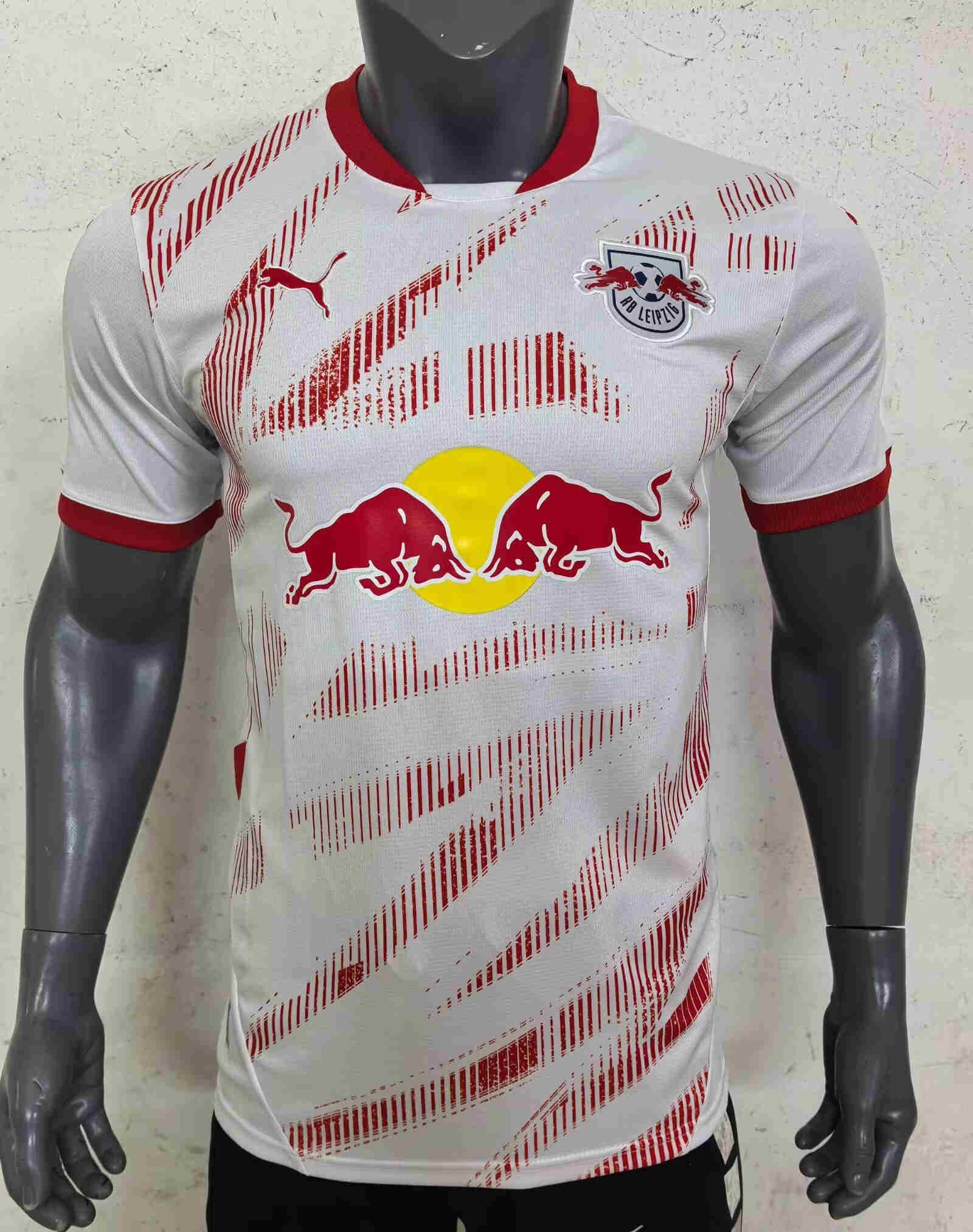 2024-2025  LEIPZIG home